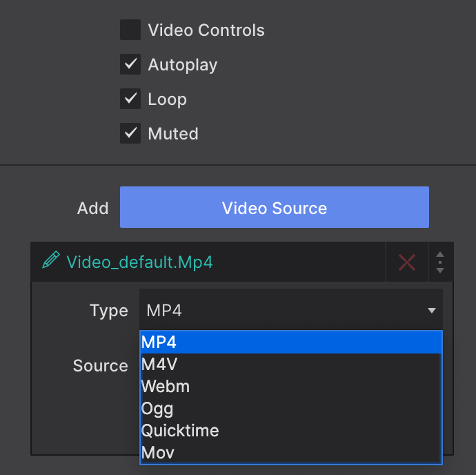 Video Element Formats