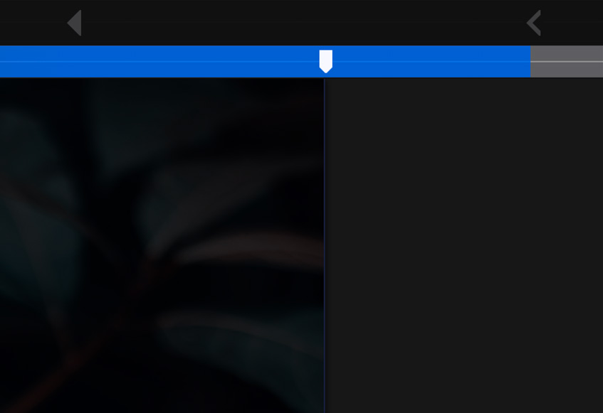 Viewport Width Slider Detail